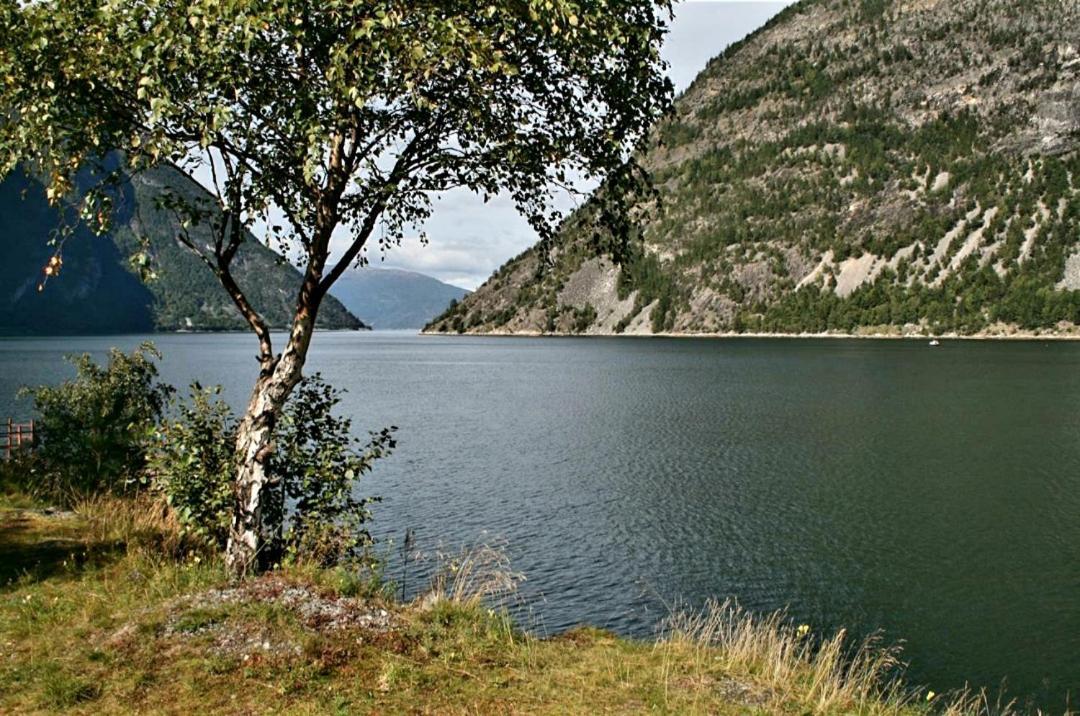 Kvammehuset Pa Gamle Laerdalsoyri别墅 外观 照片