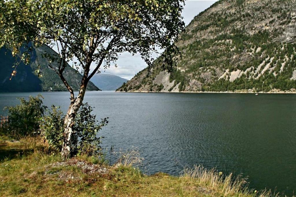 Kvammehuset Pa Gamle Laerdalsoyri别墅 外观 照片