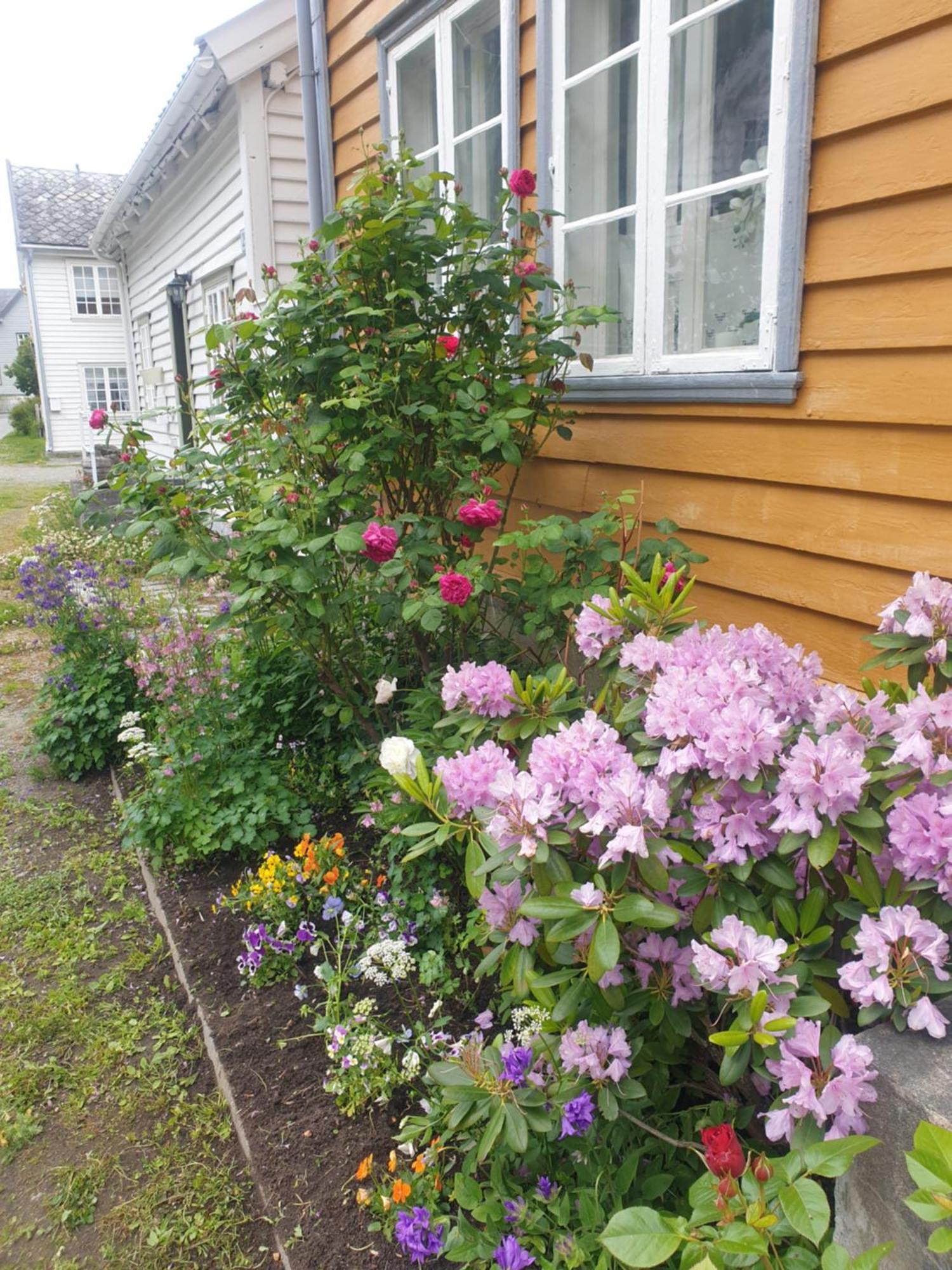 Kvammehuset Pa Gamle Laerdalsoyri别墅 外观 照片