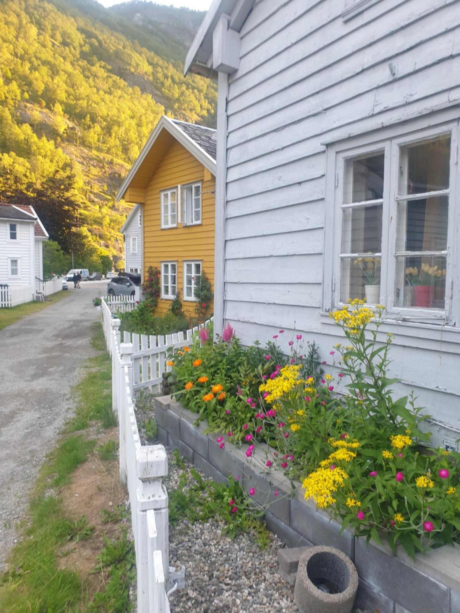 Kvammehuset Pa Gamle Laerdalsoyri别墅 外观 照片